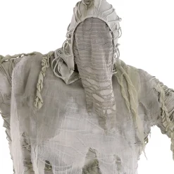 Best Sale Adult Mummified Plus Size Costume Men Scary