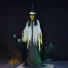 Party City Animatronic Light-Up Talking Towering Witch Halloween Decoration, 10Ft| Animatronics
