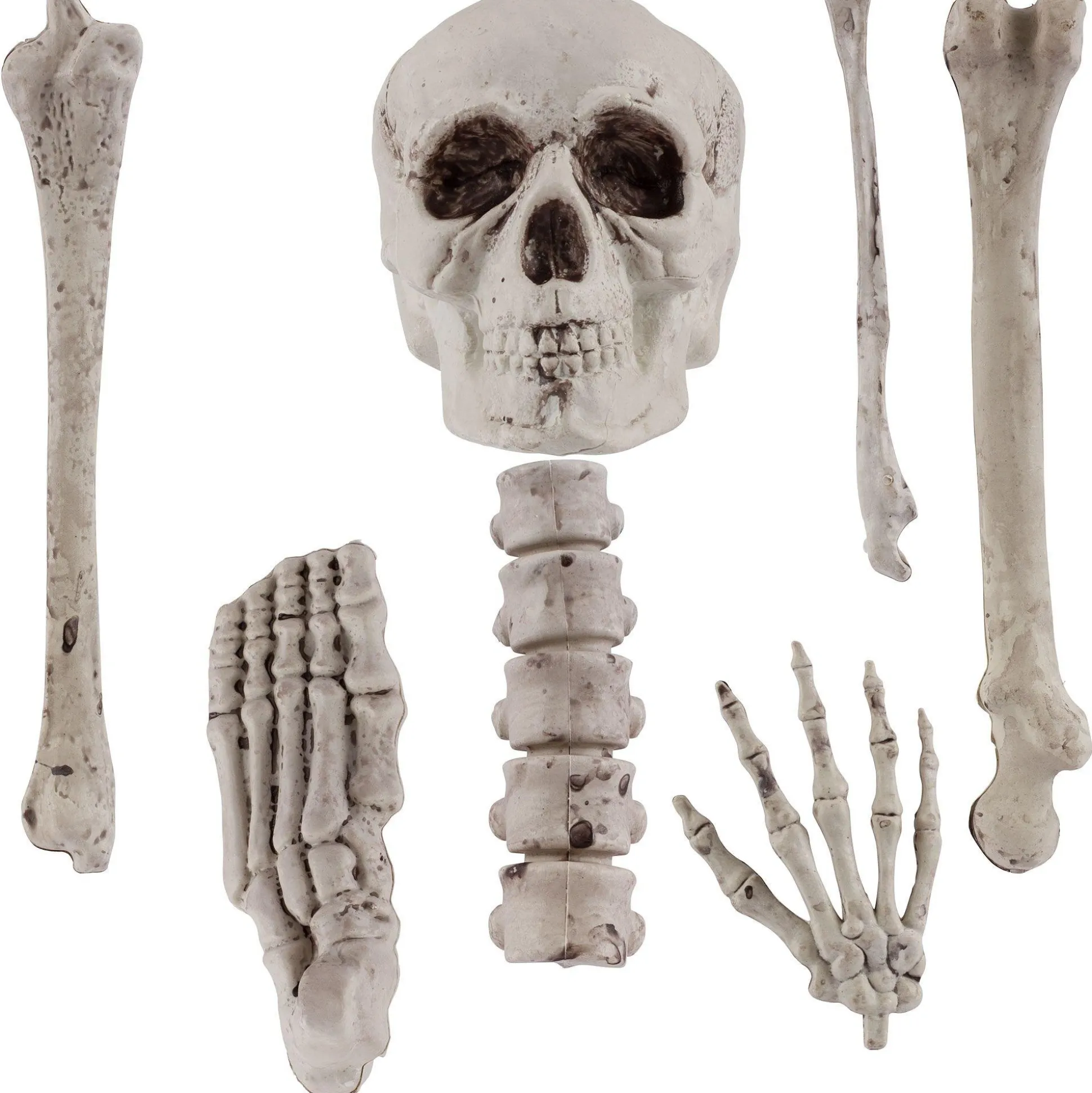 Party City Bag Of Bones 12Pc| Skeletons