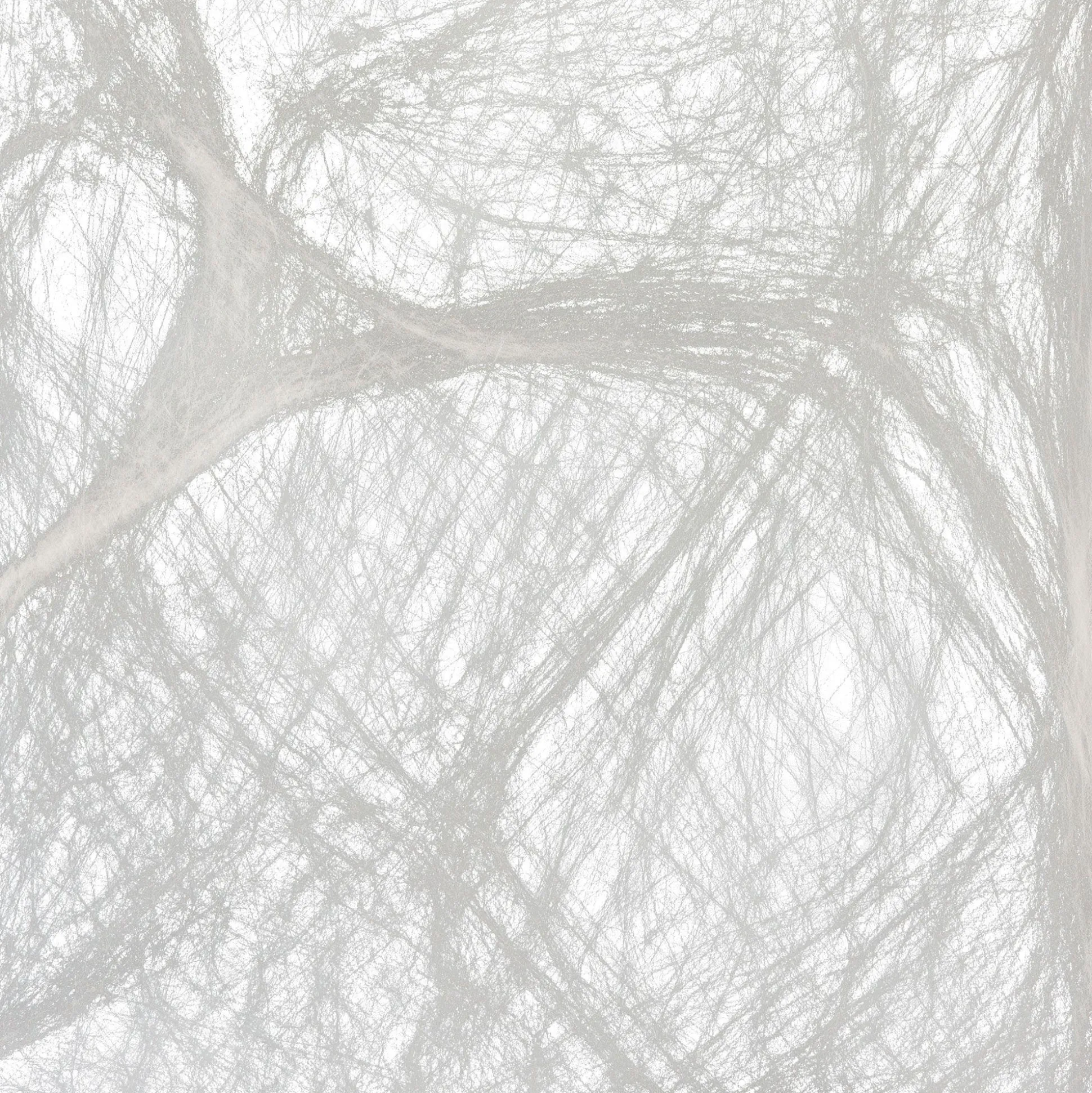 Party City Big Spider & Web| Creatures