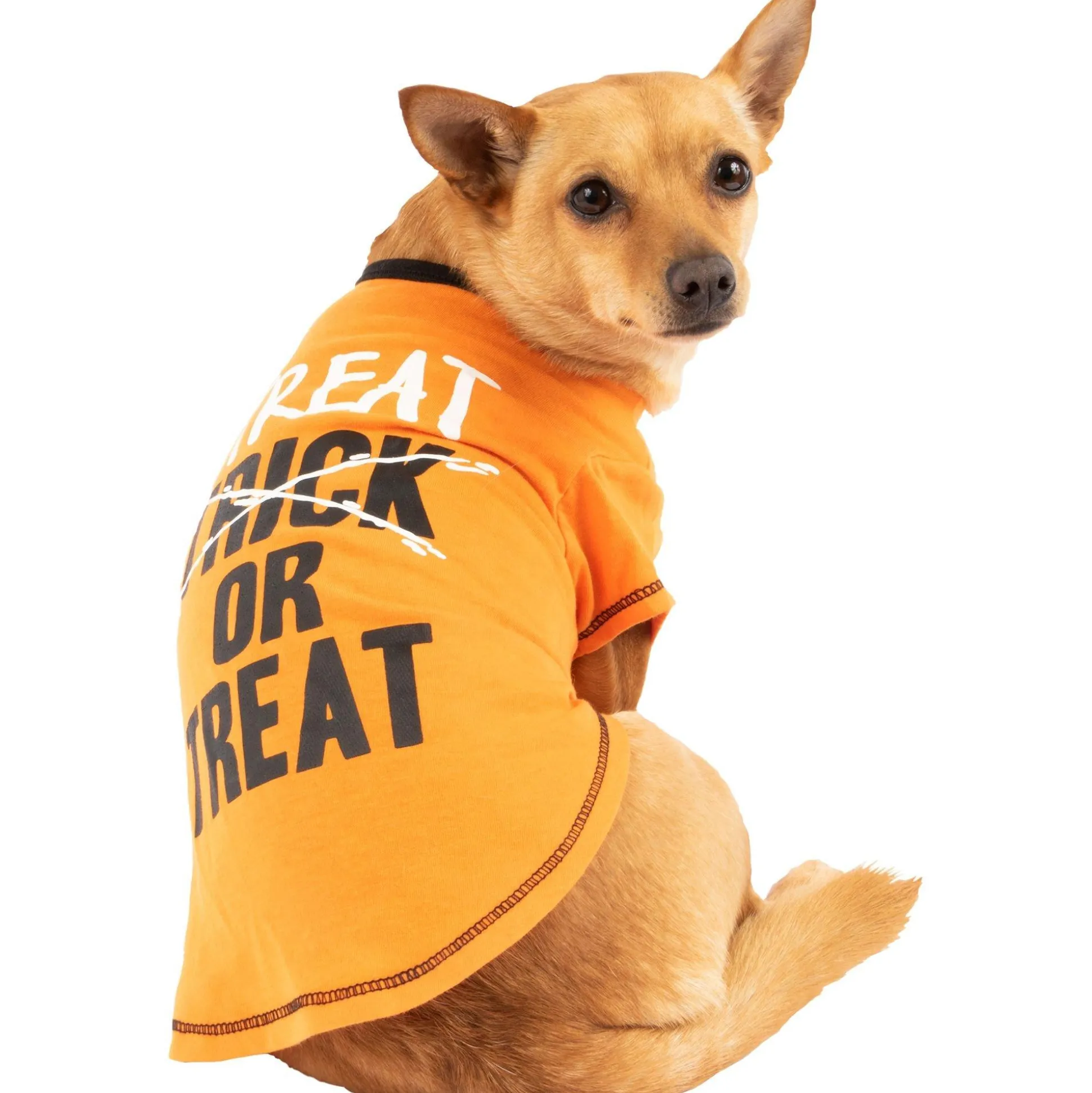 Flash Sale Black & Orange Treat-Or-Treat Dog T-Shirt Dog & Pet Costumes