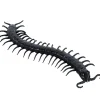 Party City Black Centipede| Favors & Favor Bags