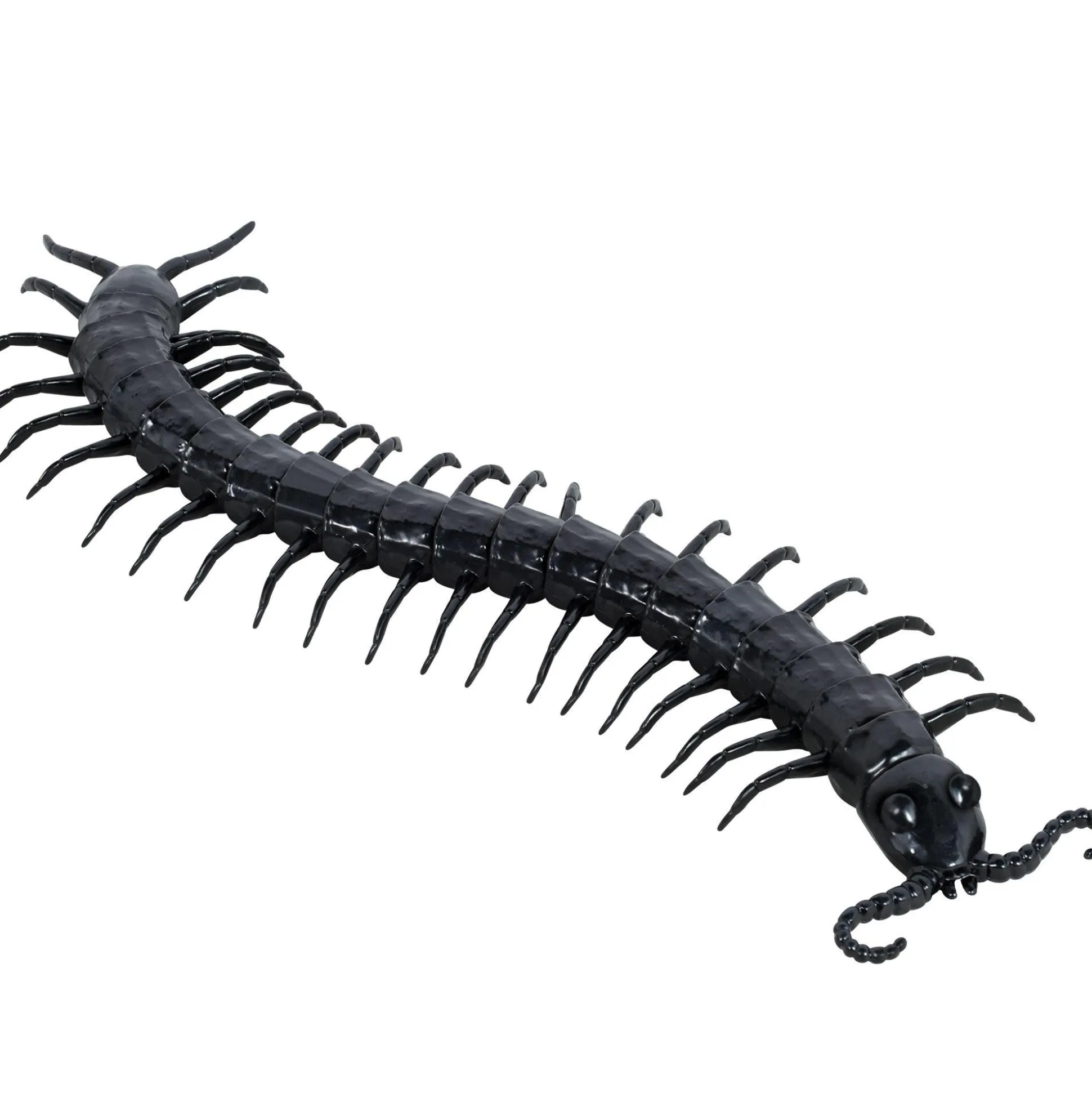 Party City Black Centipede| Creatures