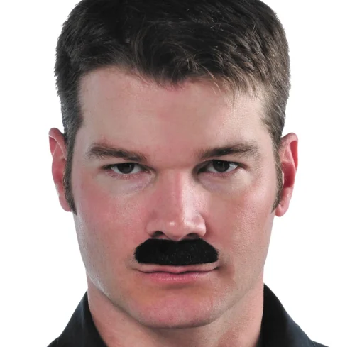 Flash Sale Black Toothbrush Moustache Facial Hair
