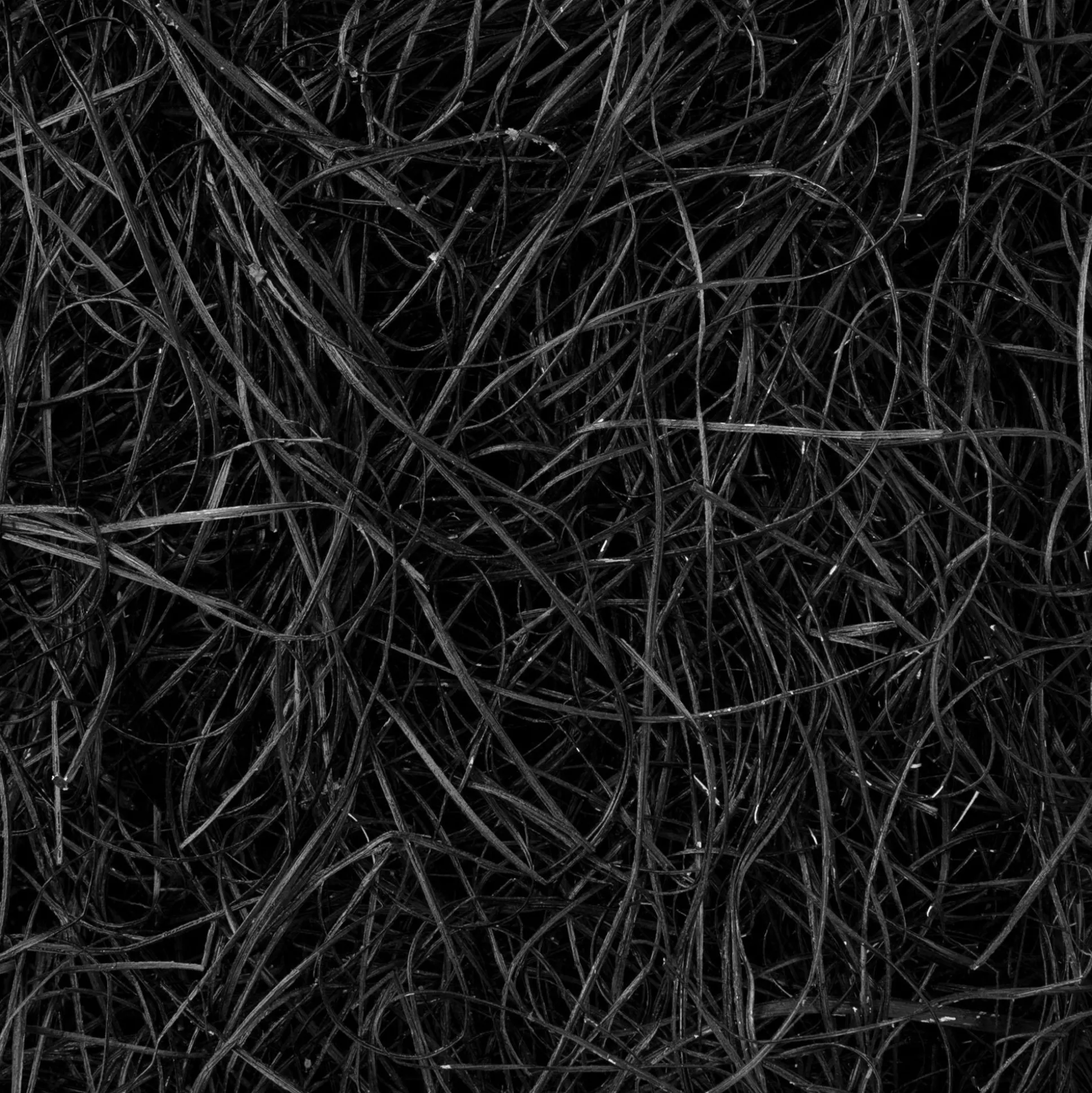 Party City Black Wood Shred, 4.2Oz| Home Décor