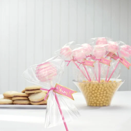Hot Cake Pop Kit For 24 Boxes, Carriers & Treat Bags