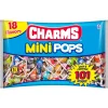 Online Mini Pops Bag, 101Pc - 18 Flavors Lollipops