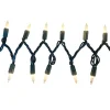 Party City Clear Incandescent String Lights, 100 Mini Bulbs, 21Ft| Strobe Lights & Black Lights