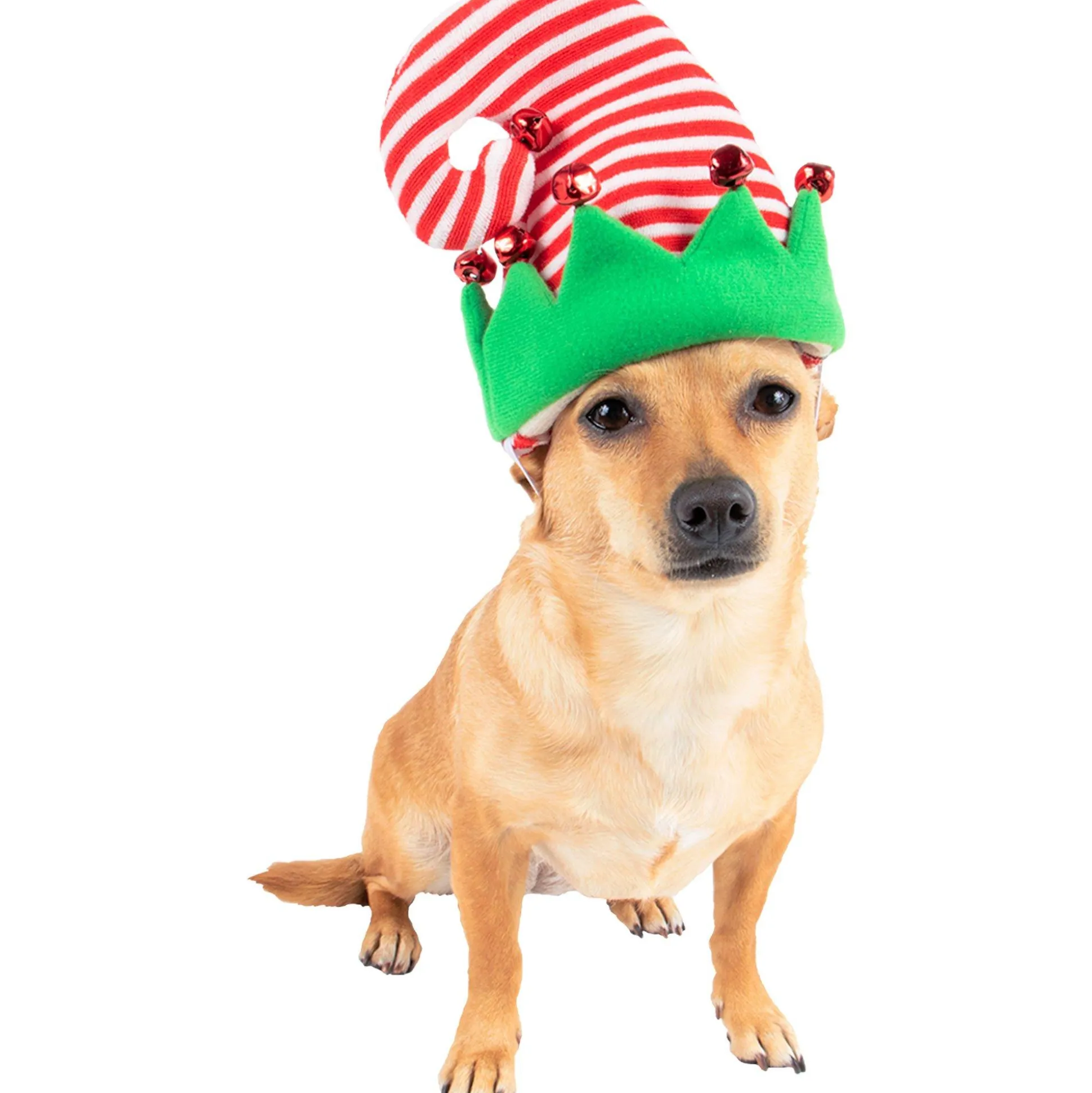Shop Elf Dog Hat Dog & Pet Costumes