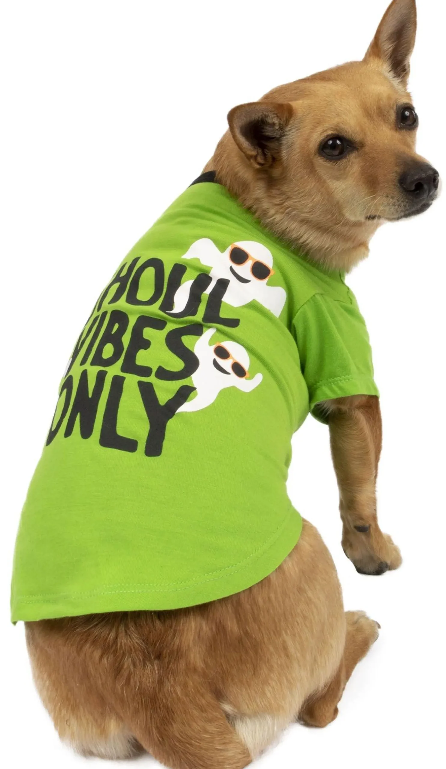 Flash Sale Ghoul Vibes Only Halloween T-Shirt For Dogs Dog & Pet Costumes
