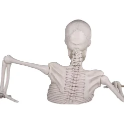 Party City Giant Rattles The Groundbreaking Skeleton Plastic Yard Decorating Kit, 8Pc| Animatronics