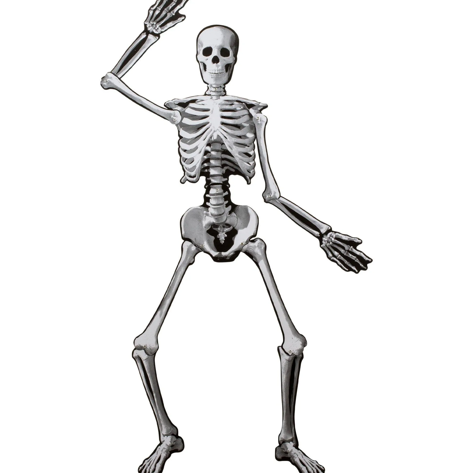 Party City Halloween Skeleton Jointed Cardstock Cutout, 53In| Window & Wall Décor