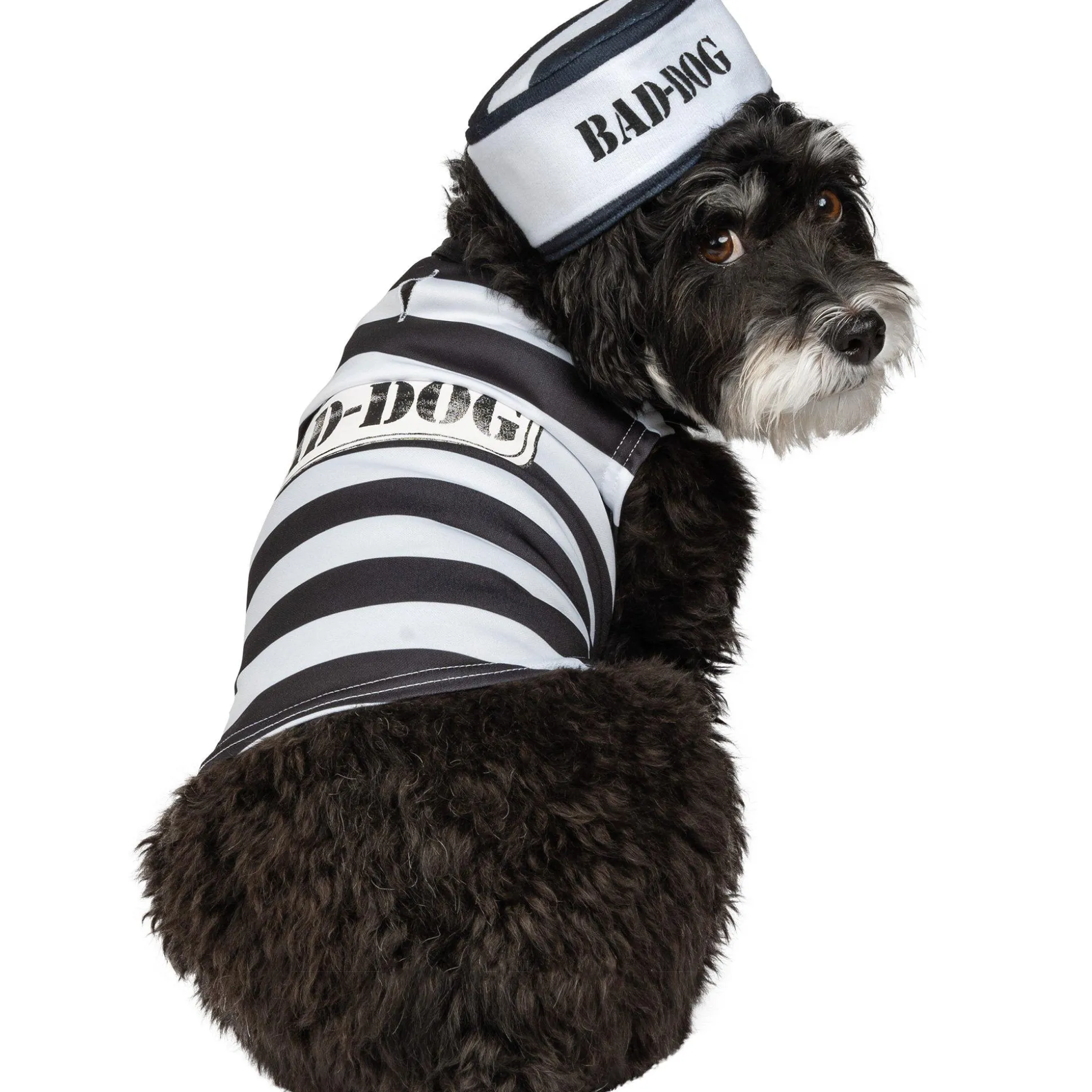 Hot Jailbird Dog Costume Dog & Pet Costumes