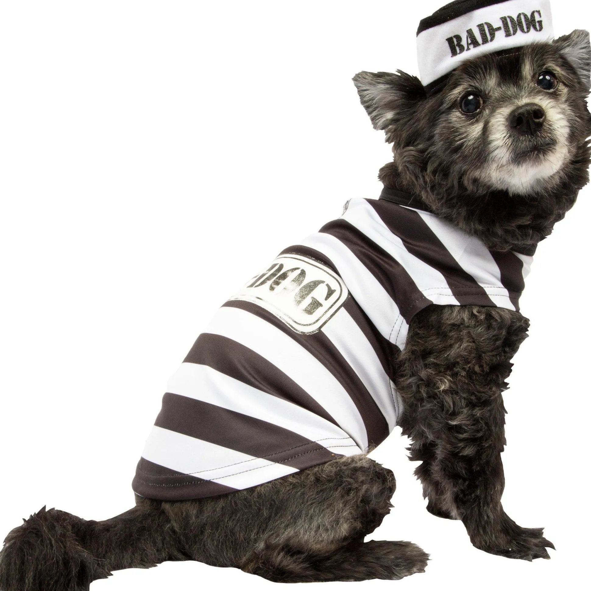 Hot Jailbird Dog Costume Dog & Pet Costumes