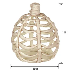 Party City Large Bone Plastic Pumpkin, 11In| Skeletons