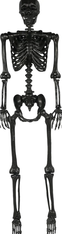 Party City Life-Size Poseable Skeleton, Black, 5Ft - Halloween Decoration| Skeletons