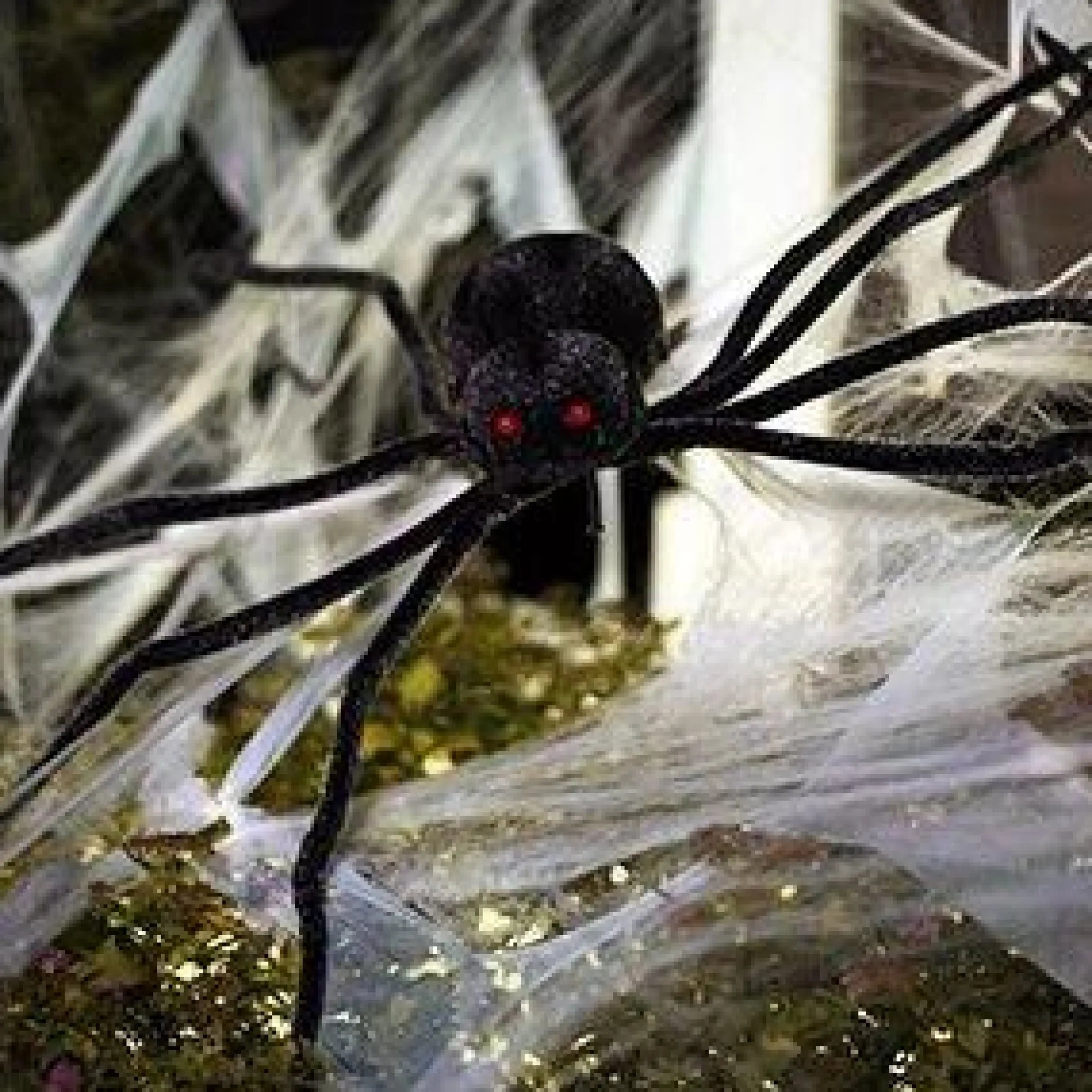 Party City Light-Up Giant Spider| Spiders & Webbing