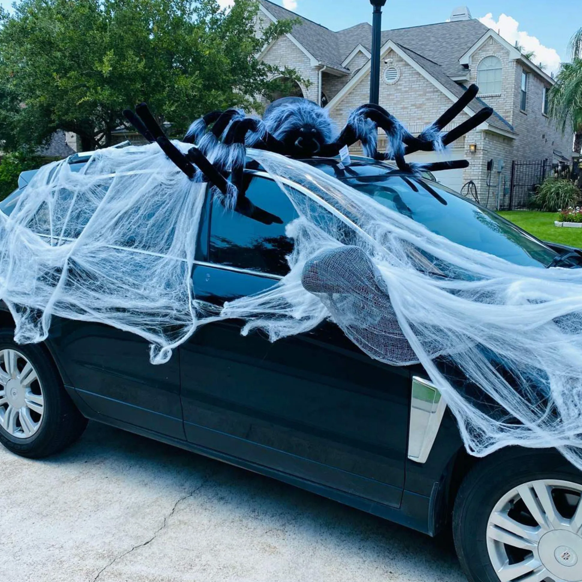 Party City Light-Up Hairy Black Spider| Creatures