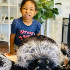 Party City Light-Up Hairy Black Spider| Spiders & Webbing