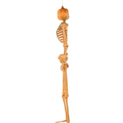 Party City Light-Up Midnight Pumpkin Led Plastic Skeleton, 5Ft| Hanging Decorations