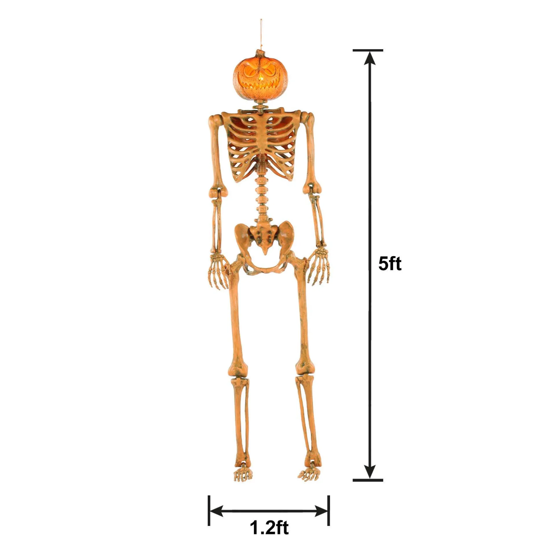 Party City Light-Up Midnight Pumpkin Led Plastic Skeleton, 5Ft| Hanging Decorations
