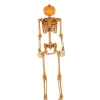 Party City Light-Up Midnight Pumpkin Led Plastic Skeleton, 5Ft| Skeletons