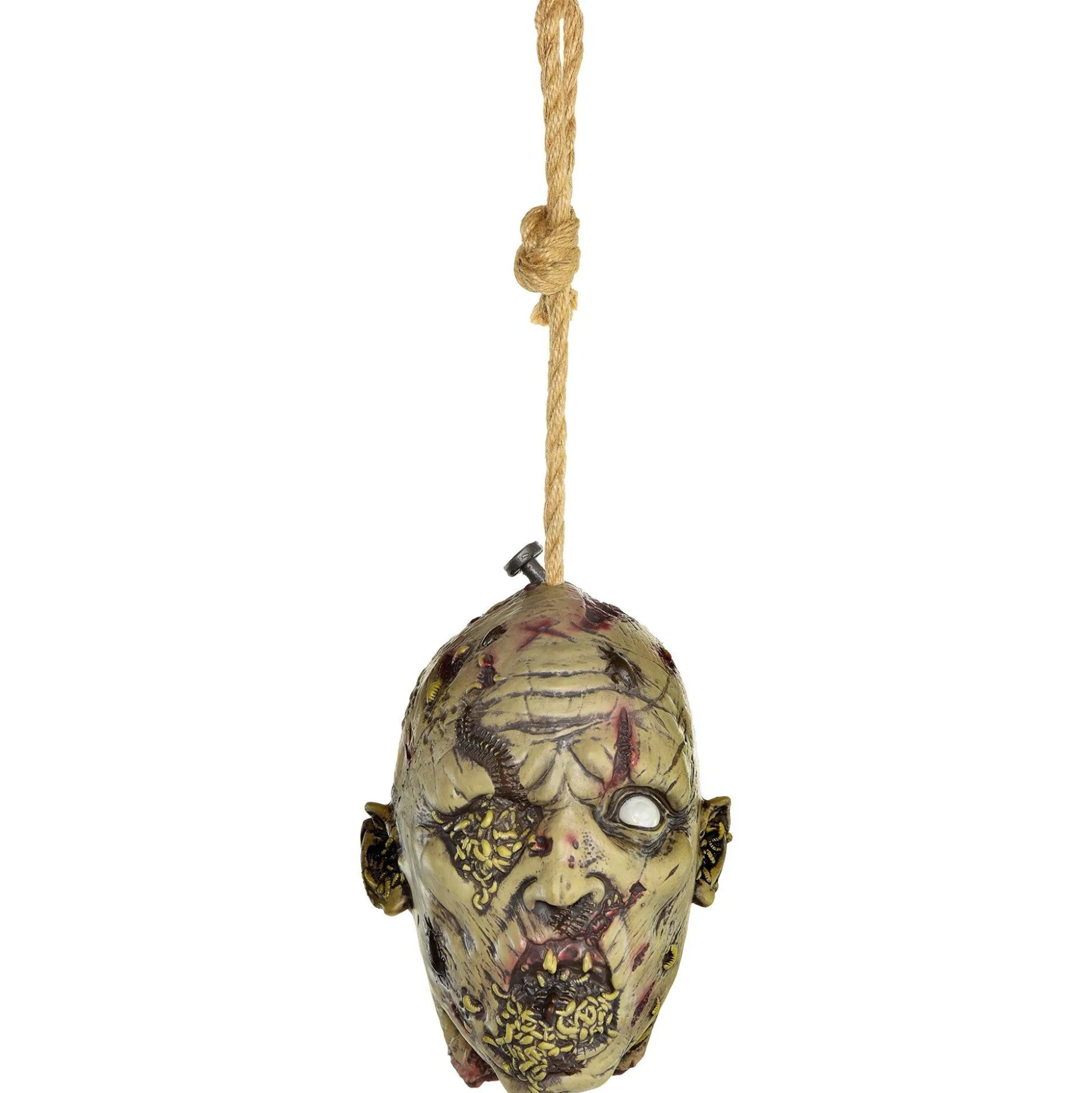 Party City Maggot & Pest Infested Head Latex & Rope Hanging Decoration, 7.7In X 11In| Hanging Decorations