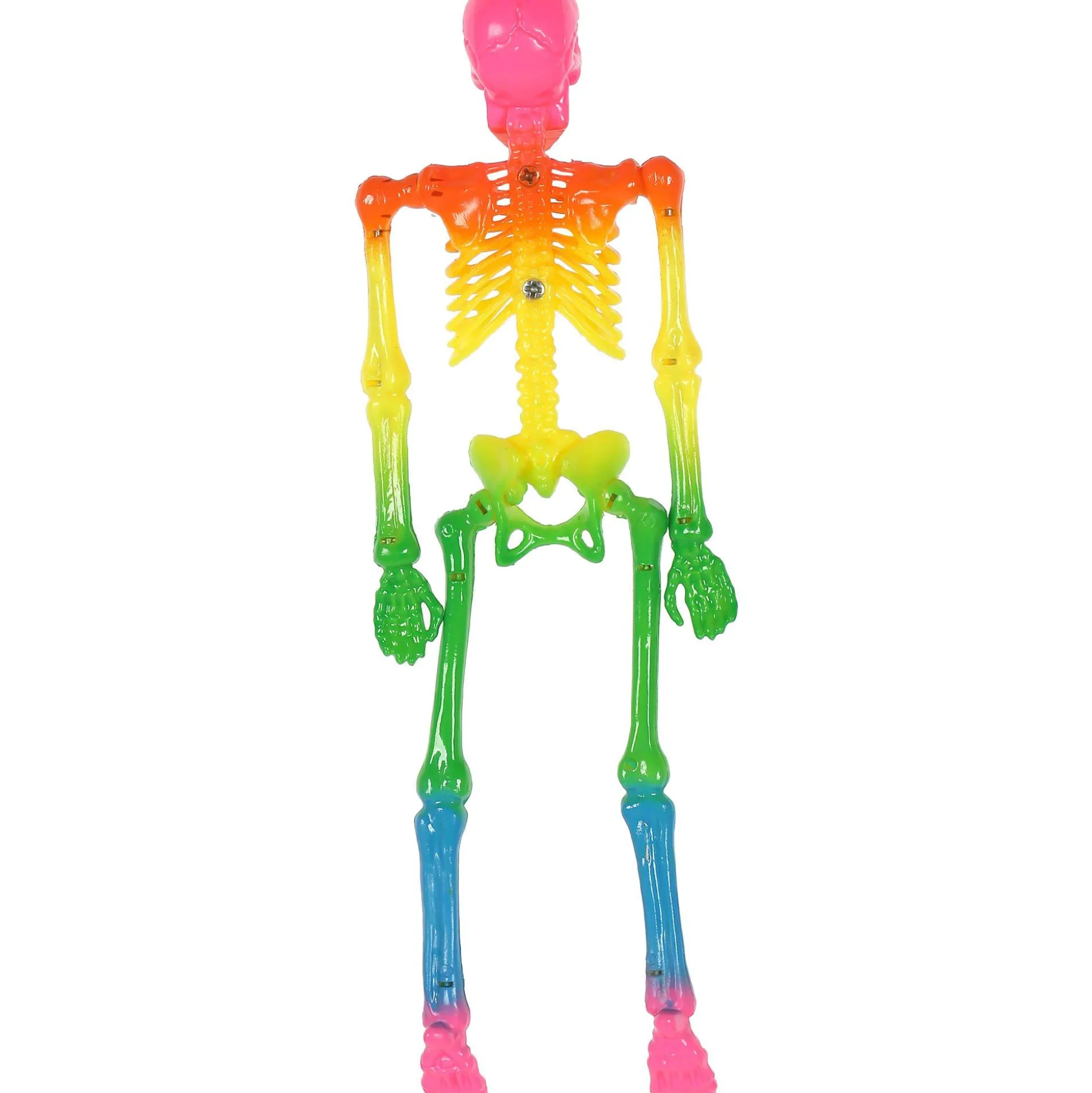 Party City Mini Rainbow Poseable Plastic Hanging Skeleton, 8In| Skeletons