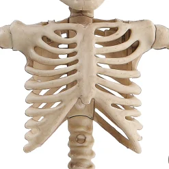 Party City Miniature Poseable Skeleton, 8In| Boneyard Glam