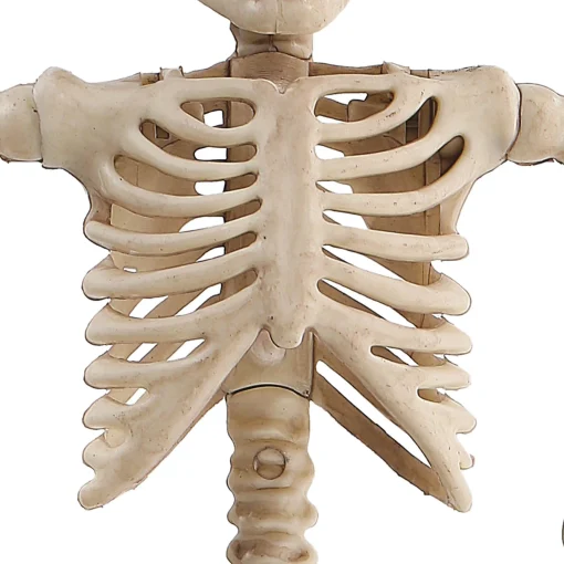 Party City Miniature Poseable Skeleton, 8In| Boneyard Glam