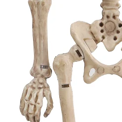 Party City Miniature Poseable Skeleton, 8In| Boneyard Glam