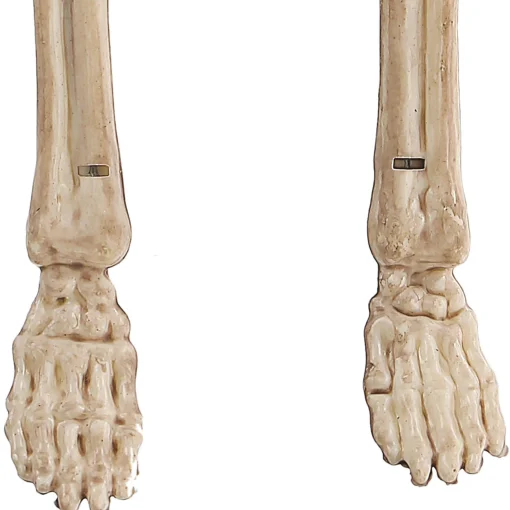 Party City Miniature Poseable Skeleton, 8In| Boneyard Glam