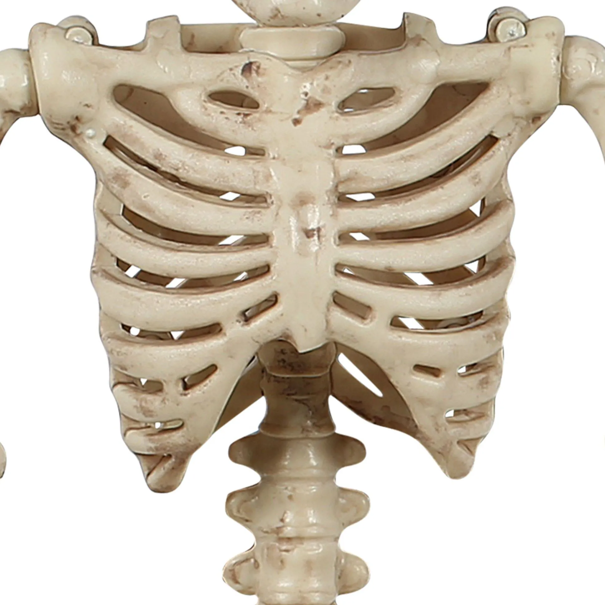 Party City Miniature Realistic Hanging Skeleton, 16In| Boneyard Glam
