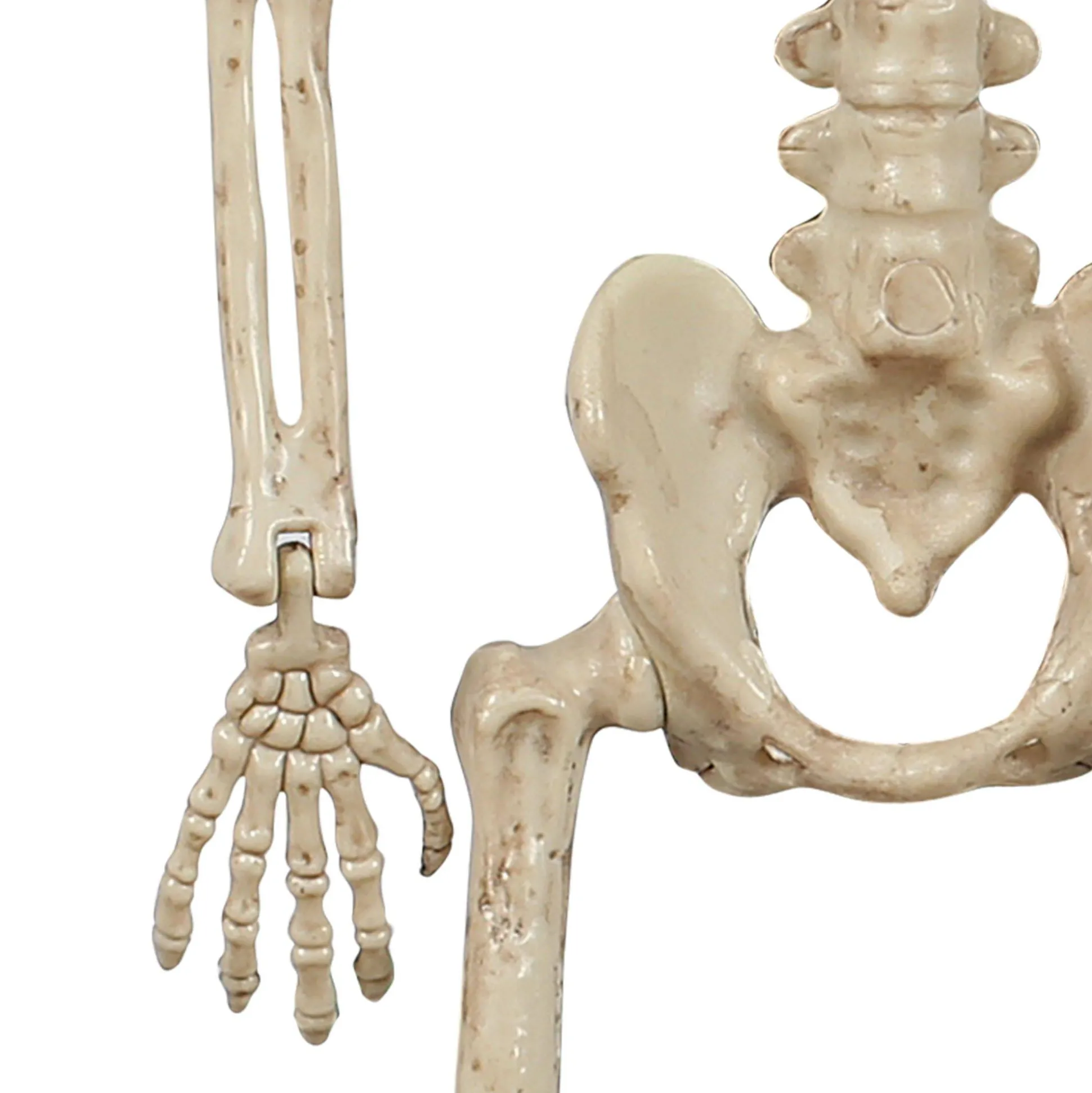 Party City Miniature Realistic Hanging Skeleton, 16In| Boneyard Glam