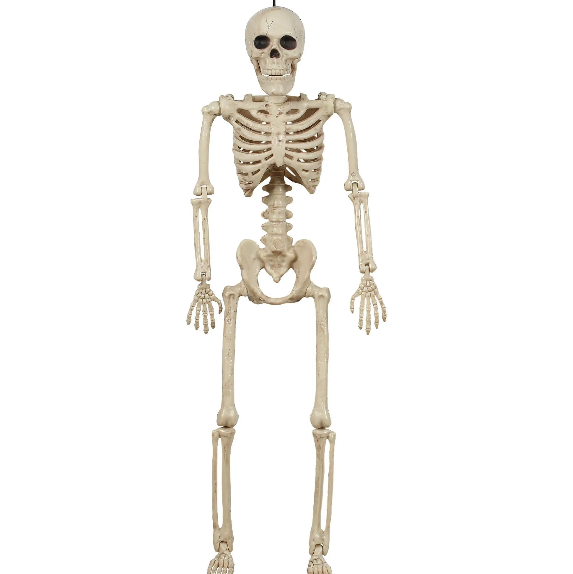 Party City Miniature Realistic Hanging Skeleton, 16In| Skeletons