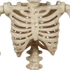 Party City Miniature Realistic Hanging Skeleton, 16In| Skeletons