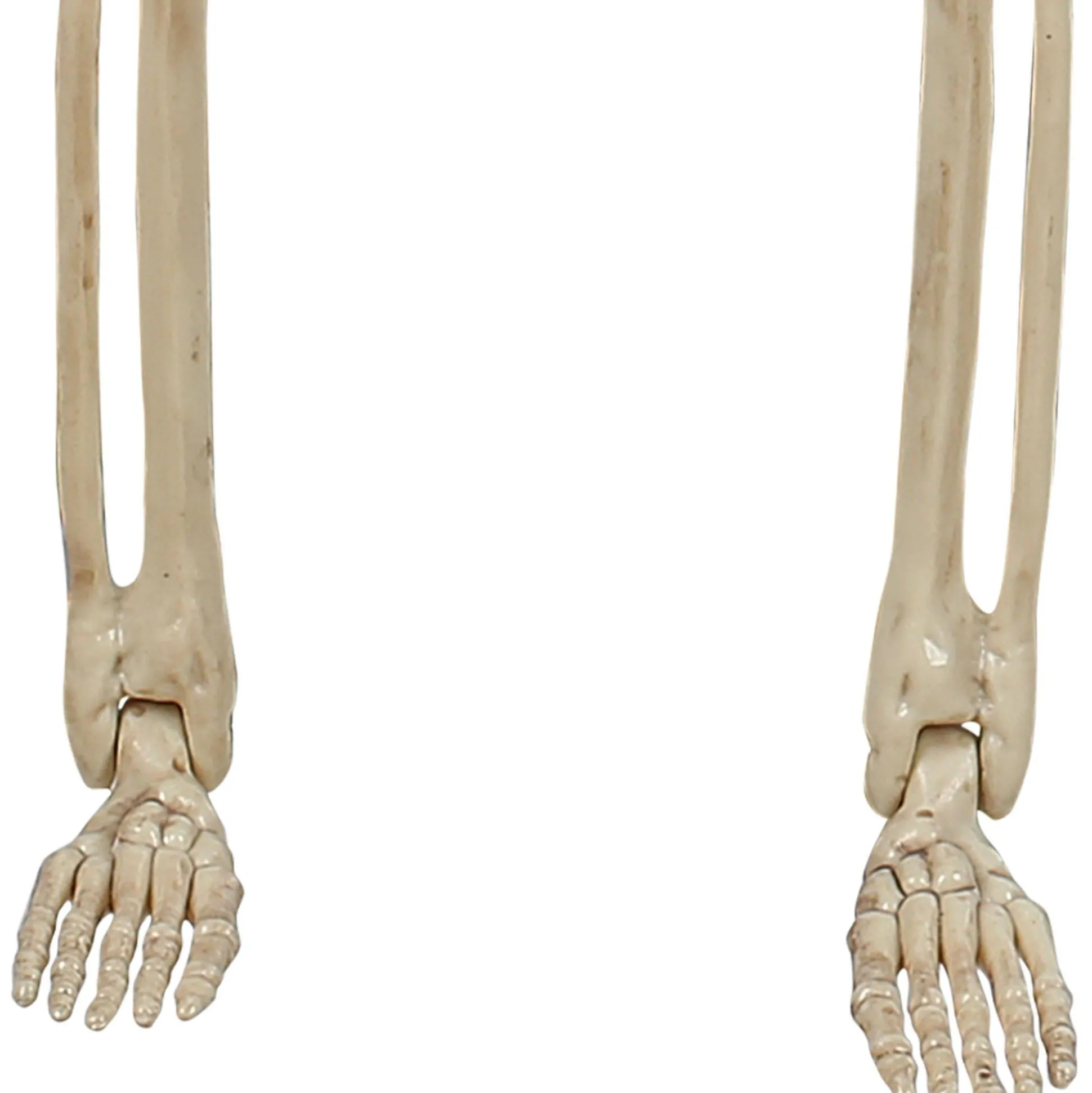 Party City Miniature Realistic Hanging Skeleton, 16In| Skeletons