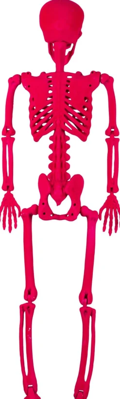 Party City Neon Pink Black Light Reactive Flocked Skeleton Hanging Decoration, 36In| Window & Wall Décor