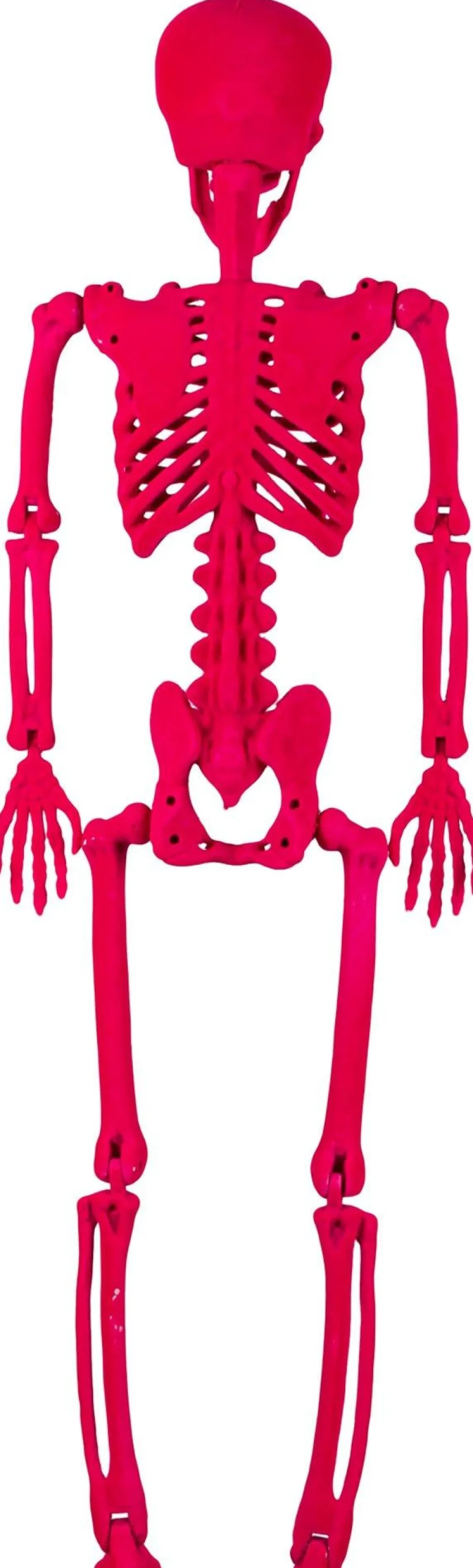 Party City Neon Pink Black Light Reactive Flocked Skeleton Hanging Decoration, 36In| Window & Wall Décor