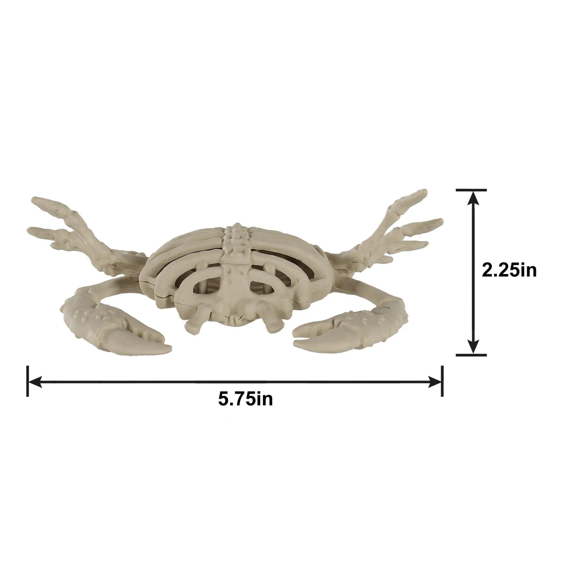 Party City Plastic Crab Skeleton, 3.5In X 5.75In| Skeletons