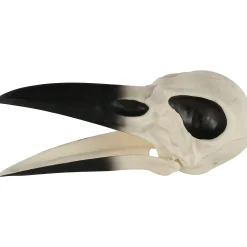 Party City Plastic Raven Skull, 3.5In X 8.75In| Creatures