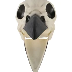 Party City Plastic Raven Skull, 3.5In X 8.75In| Creatures