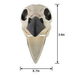 Party City Plastic Raven Skull, 3.5In X 8.75In| Creatures