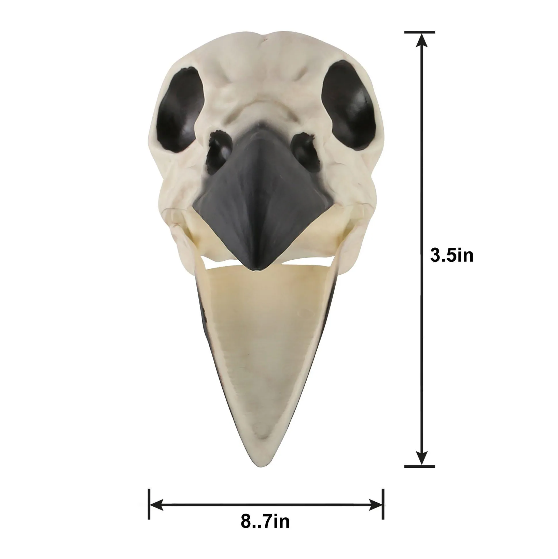 Party City Plastic Raven Skull, 3.5In X 8.75In| Creatures