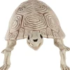 Party City Plastic Turtle Skeleton, 7In X 14In| Skeletons
