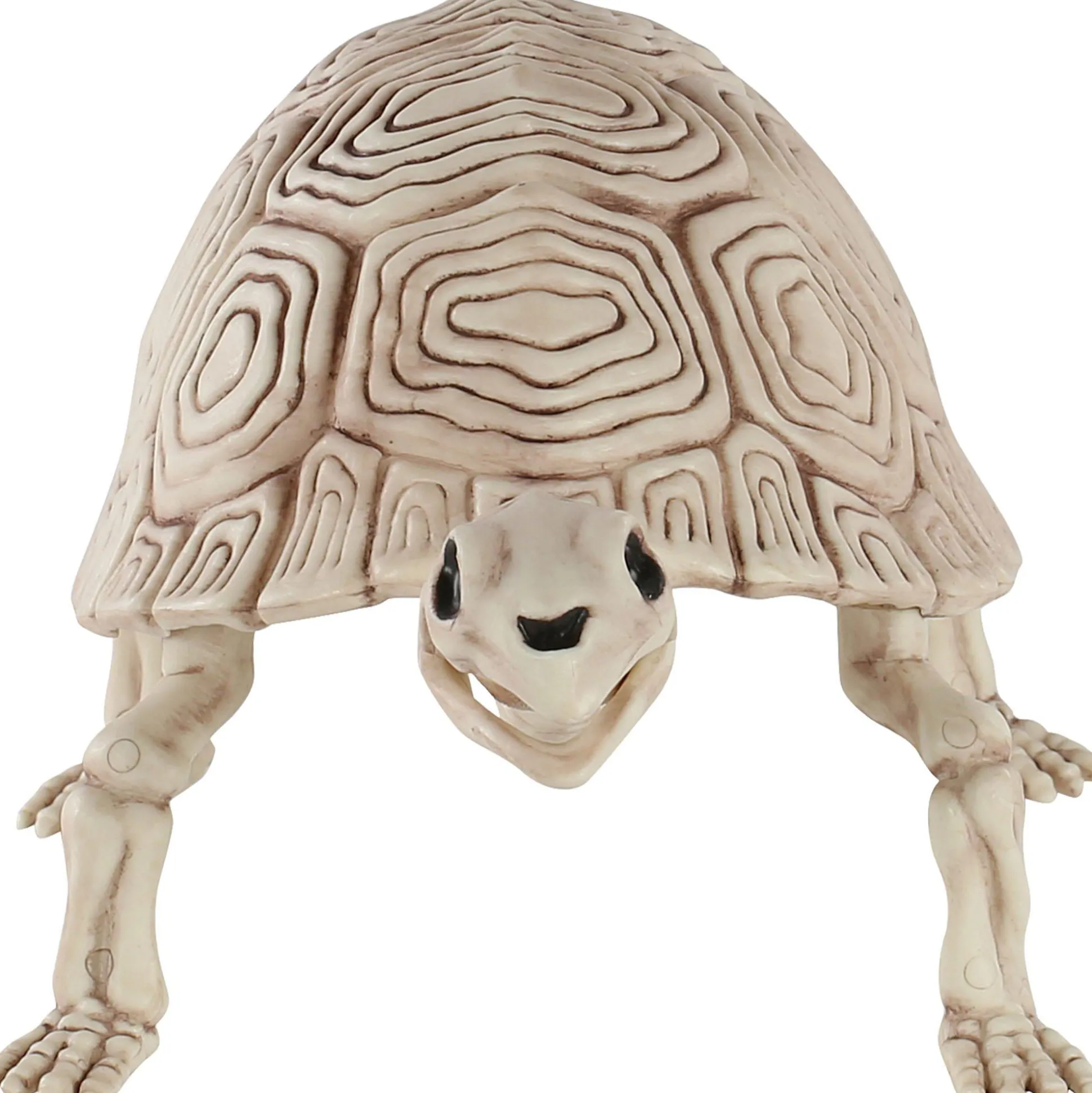 Party City Plastic Turtle Skeleton, 7In X 14In| Skeletons