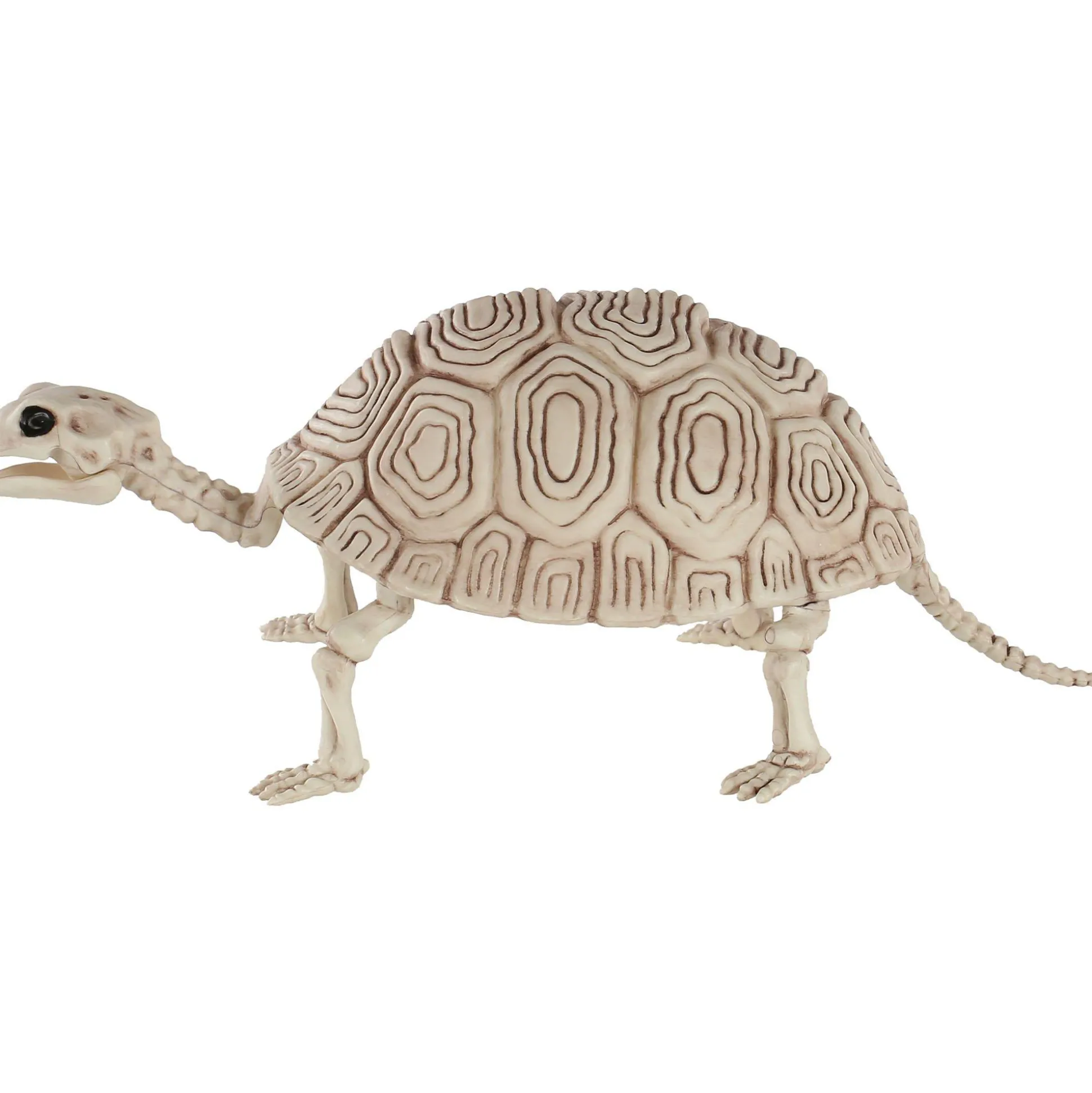 Party City Plastic Turtle Skeleton, 7In X 14In| Skeletons