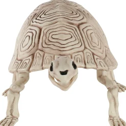 Party City Plastic Turtle Skeleton, 7In X 14In| Creatures