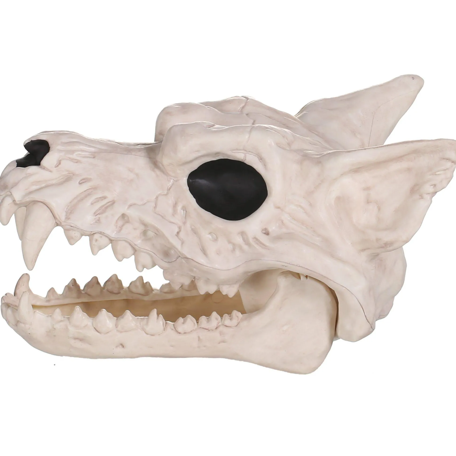 Party City Plastic Werewolf Skull, 6.75In X 10.25In| Skeletons
