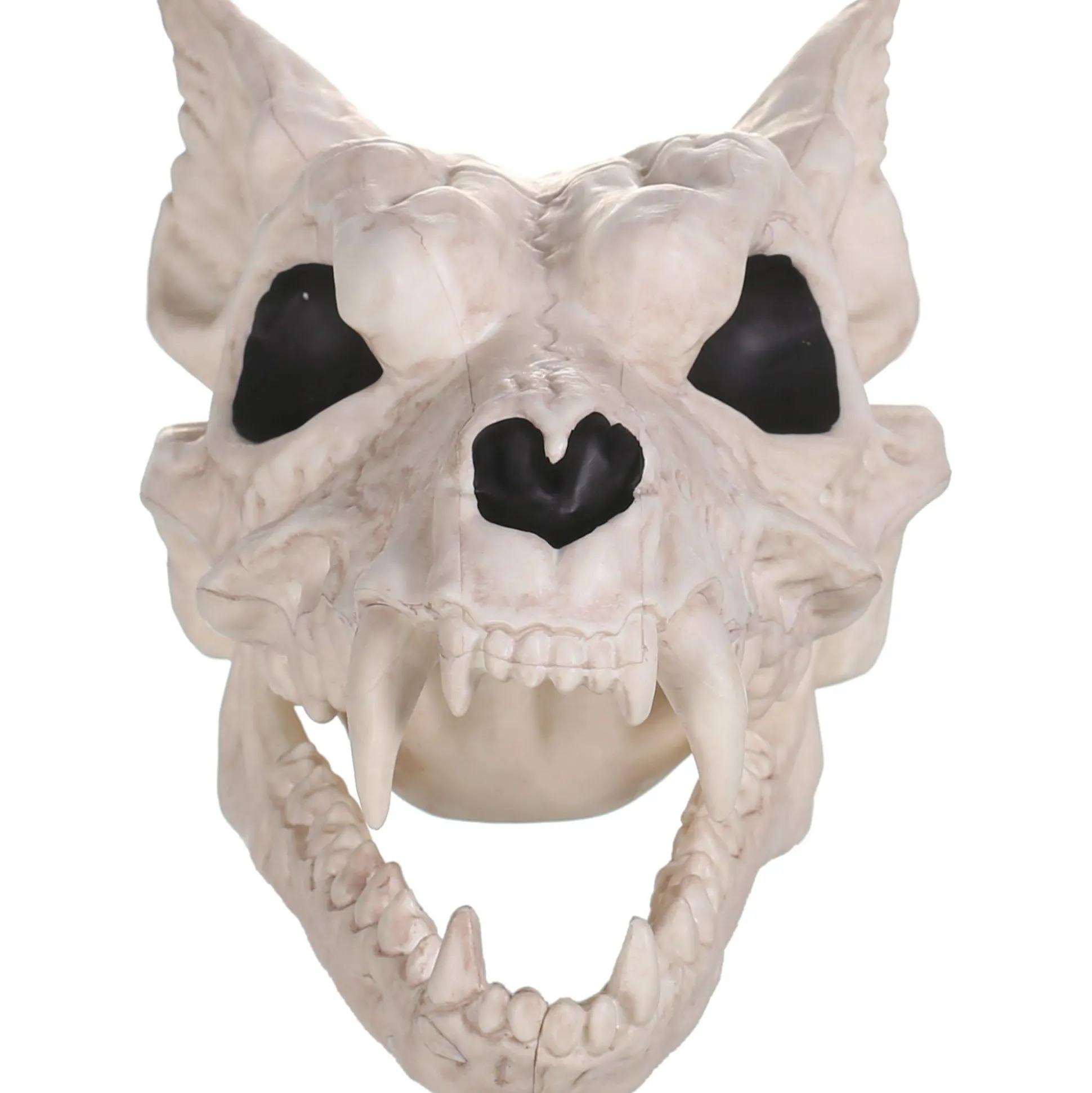Party City Plastic Werewolf Skull, 6.75In X 10.25In| Skeletons